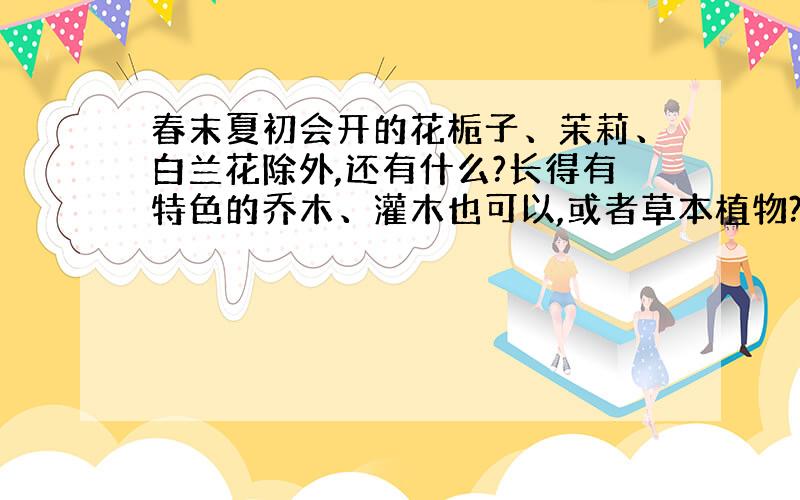 春末夏初会开的花栀子、茉莉、白兰花除外,还有什么?长得有特色的乔木、灌木也可以,或者草本植物?总之好看的,能凸显出季节特