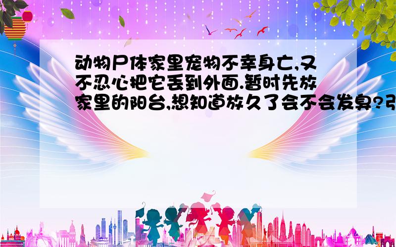 动物尸体家里宠物不幸身亡,又不忍心把它丢到外面.暂时先放家里的阳台,想知道放久了会不会发臭?引蚊子呢?