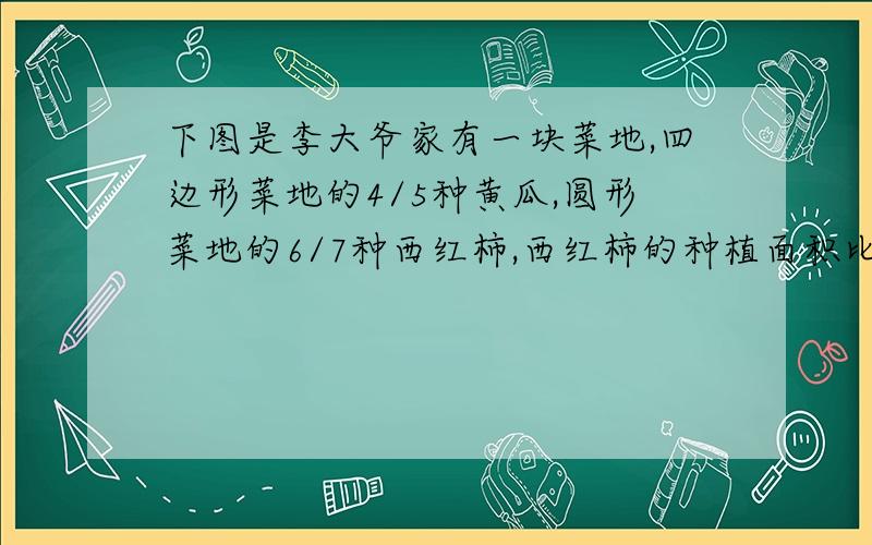 下图是李大爷家有一块菜地,四边形菜地的4/5种黄瓜,圆形菜地的6/7种西红柿,西红柿的种植面积比黄瓜的多