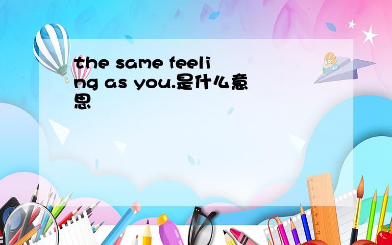 the same feeling as you.是什么意思