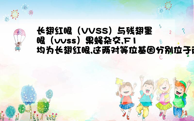 长翅红眼（VVSS）与残翅墨眼（vvss）果蝇杂交,F1均为长翅红眼,这两对等位基因分别位于两对常染色体上.请问在F2中