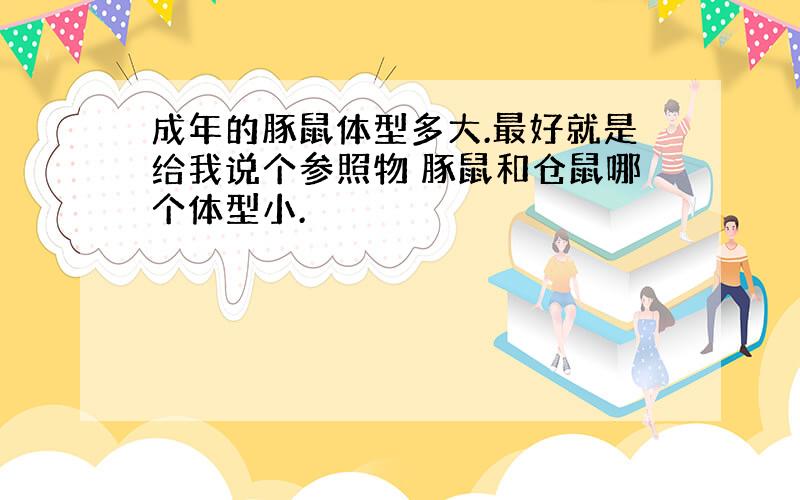 成年的豚鼠体型多大.最好就是给我说个参照物 豚鼠和仓鼠哪个体型小.