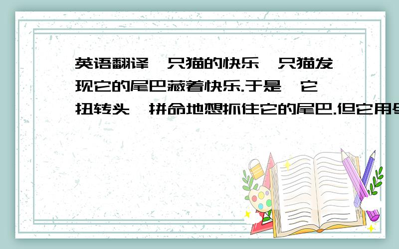 英语翻译一只猫的快乐一只猫发现它的尾巴藏着快乐.于是,它扭转头,拼命地想抓住它的尾巴.但它用尽了一切办法,也只是在兜圈子