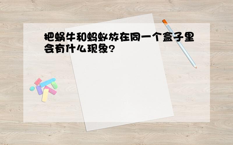 把蜗牛和蚂蚁放在同一个盒子里会有什么现象?