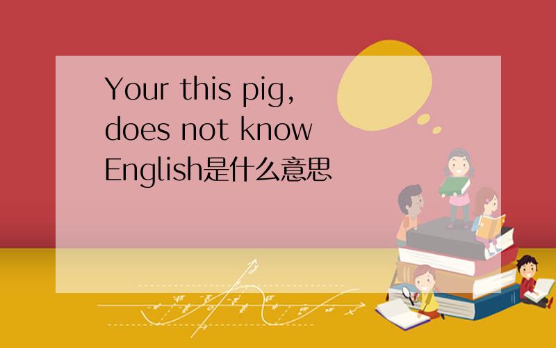 Your this pig,does not know English是什么意思