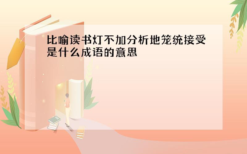 比喻读书灯不加分析地笼统接受是什么成语的意思