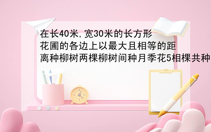 在长40米,宽30米的长方形花圃的各边上以最大且相等的距离种柳树两棵柳树间种月季花5相棵共种月季柳树