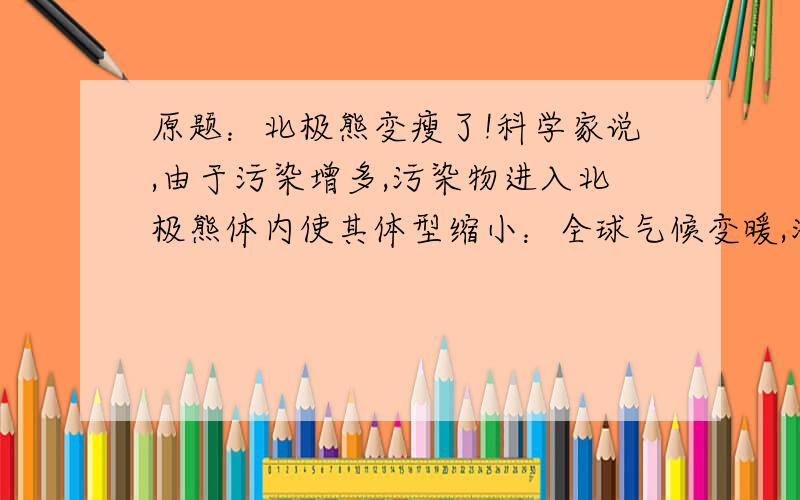 原题：北极熊变瘦了!科学家说,由于污染增多,污染物进入北极熊体内使其体型缩小：全球气候变暖,海洋冰面减少,北极熊要花费更