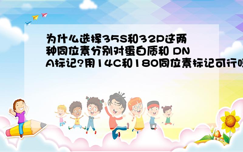 为什么选择35S和32P这两种同位素分别对蛋白质和 DNA标记?用14C和18O同位素标记可行吗?