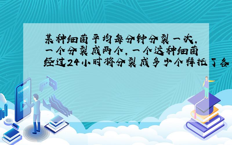 某种细菌平均每分钟分裂一次,一个分裂成两个,一个这种细菌经过24小时将分裂成多少个拜托了各位 谢谢