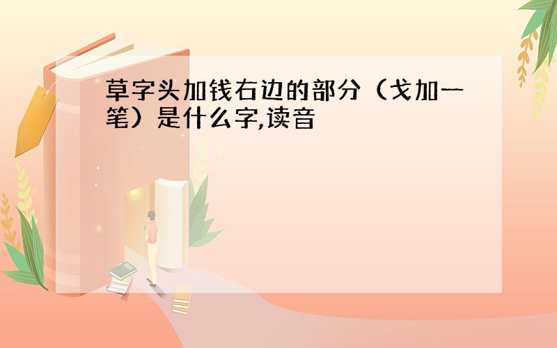 草字头加钱右边的部分（戈加一笔）是什么字,读音