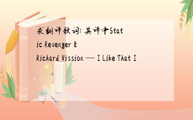 求翻译歌词: 英译中Static Revenger & Richard Vission — I Like That I