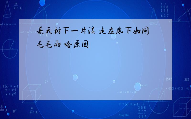 夏天树下一片湿 走在底下如同毛毛雨 啥原因