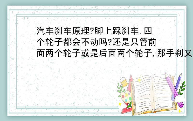 汽车刹车原理?脚上踩刹车,四个轮子都会不动吗?还是只管前面两个轮子或是后面两个轮子,那手刹又管哪几个呢?