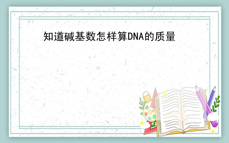 知道碱基数怎样算DNA的质量