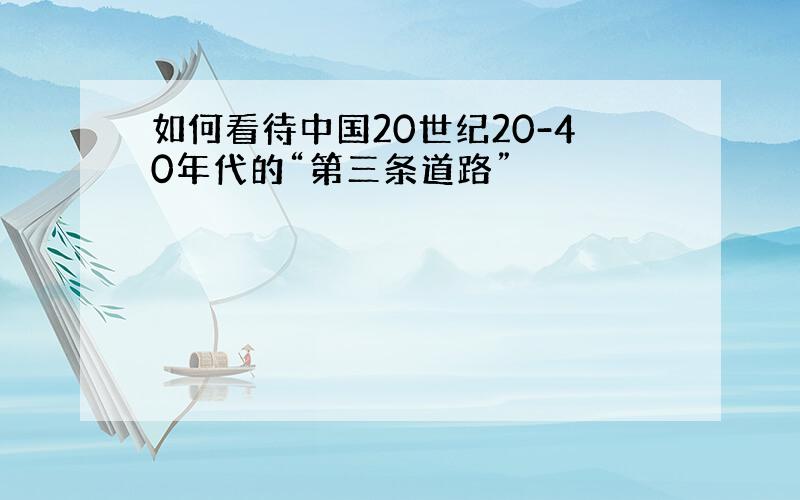 如何看待中国20世纪20-40年代的“第三条道路”