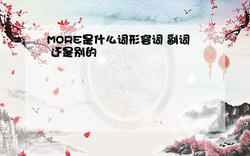 MORE是什么词形容词 副词 还是别的