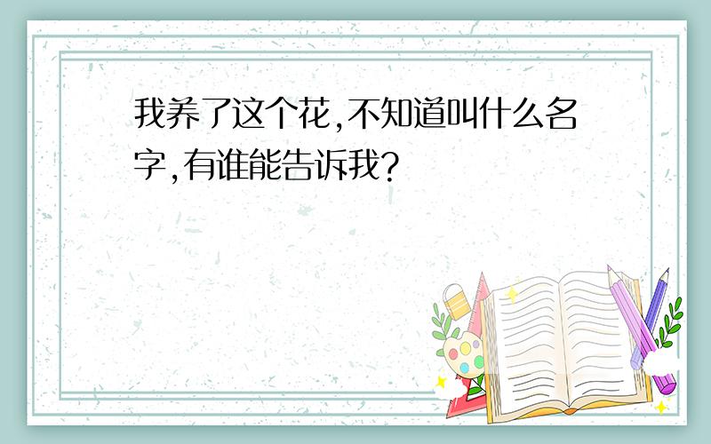 我养了这个花,不知道叫什么名字,有谁能告诉我?