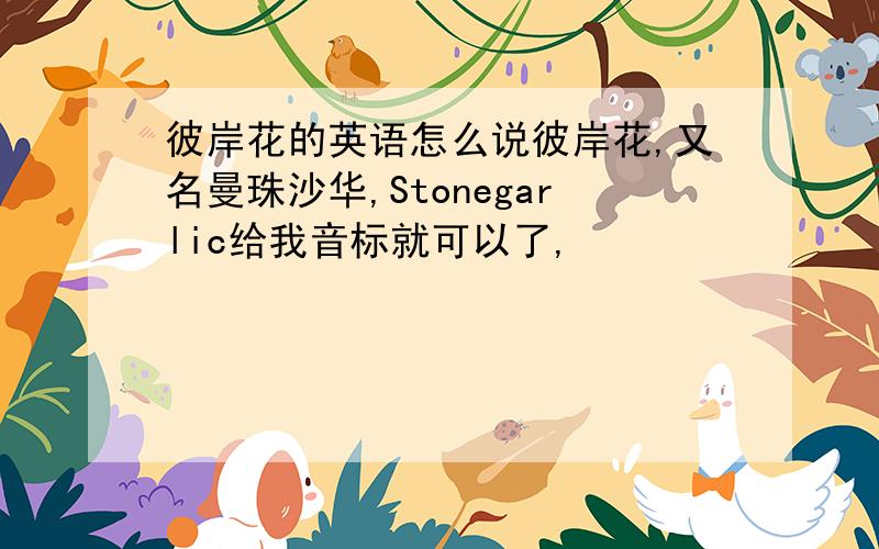 彼岸花的英语怎么说彼岸花,又名曼珠沙华,Stonegarlic给我音标就可以了,