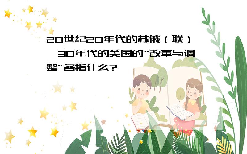 20世纪20年代的苏俄（联）、30年代的美国的“改革与调整”各指什么?