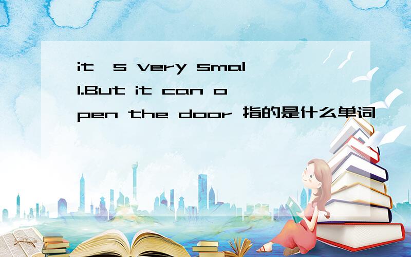 it's very small.But it can open the door 指的是什么单词