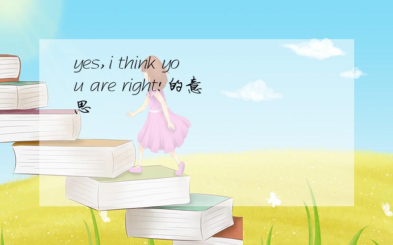 yes,i think you are right!的意思