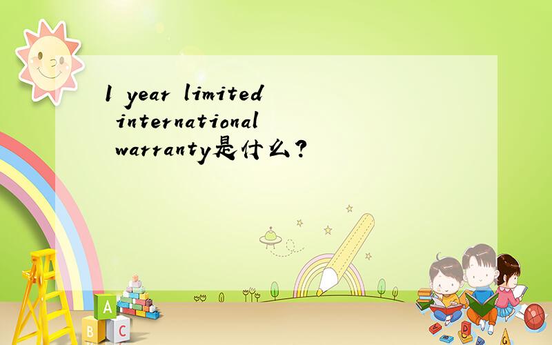 1 year limited international warranty是什么?