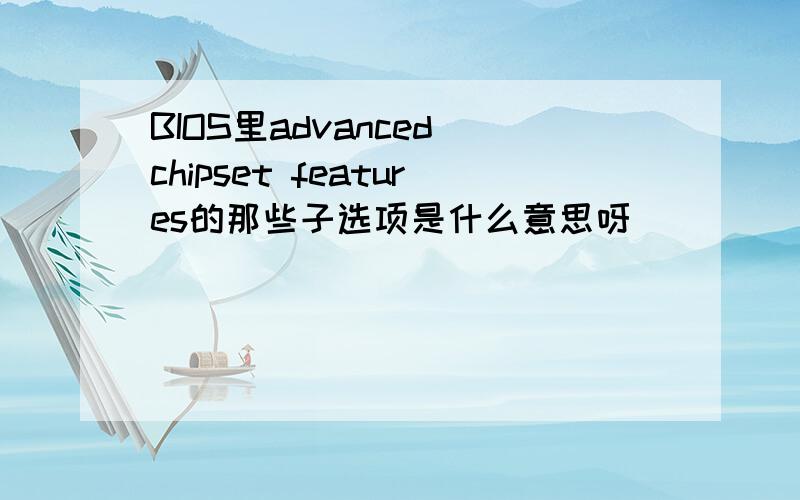 BIOS里advanced chipset features的那些子选项是什么意思呀