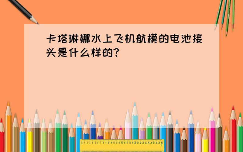 卡塔琳娜水上飞机航模的电池接头是什么样的?