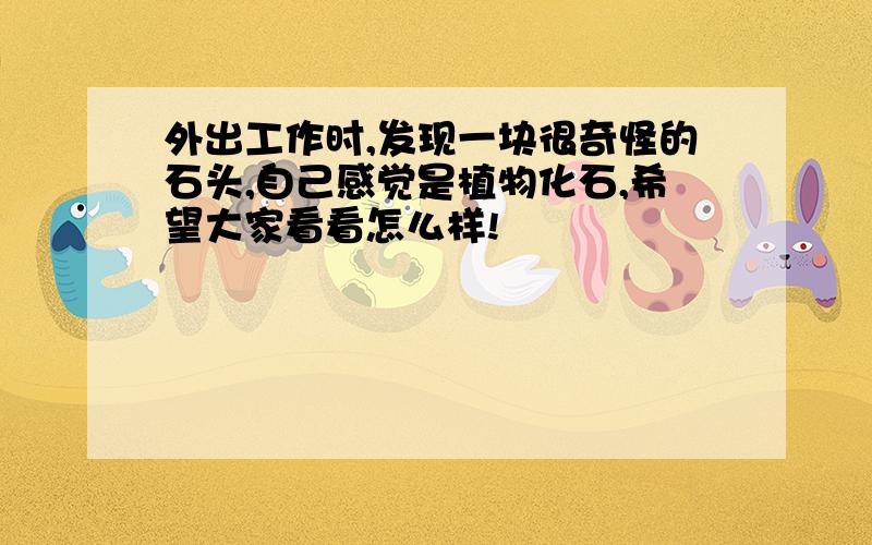 外出工作时,发现一块很奇怪的石头,自己感觉是植物化石,希望大家看看怎么样!