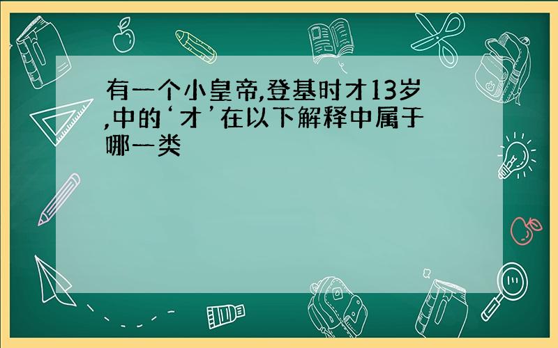 有一个小皇帝,登基时才13岁,中的‘才’在以下解释中属于哪一类