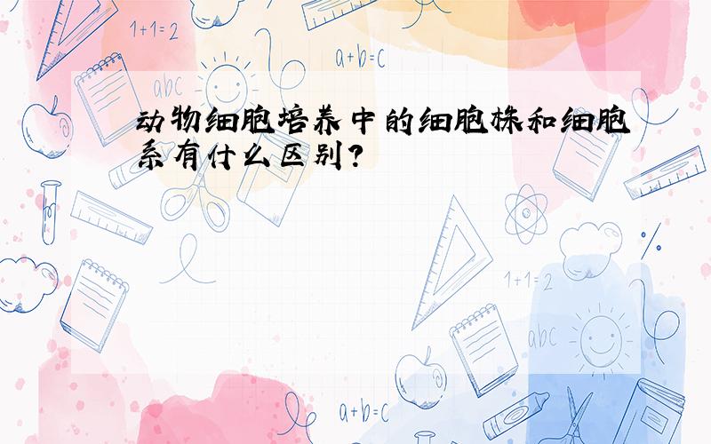 动物细胞培养中的细胞株和细胞系有什么区别?