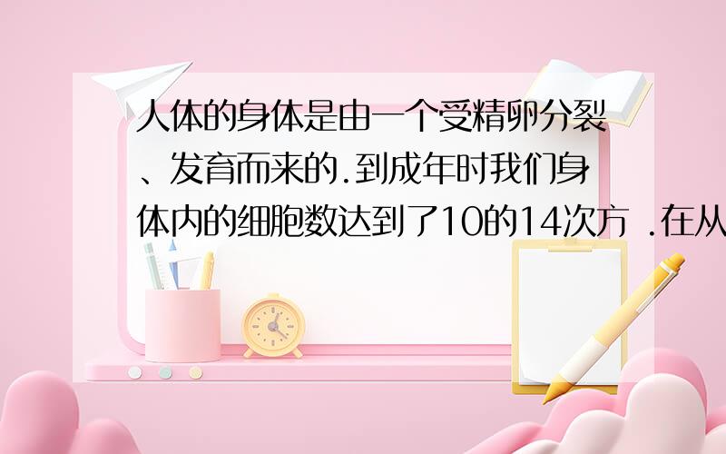 人体的身体是由一个受精卵分裂、发育而来的.到成年时我们身体内的细胞数达到了10的14次方 .在从1个到10的14次方个的