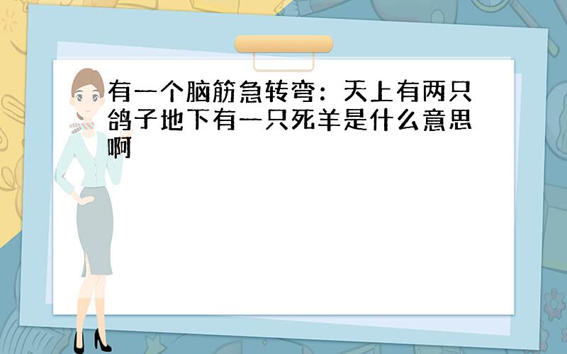 有一个脑筋急转弯：天上有两只鸽子地下有一只死羊是什么意思啊