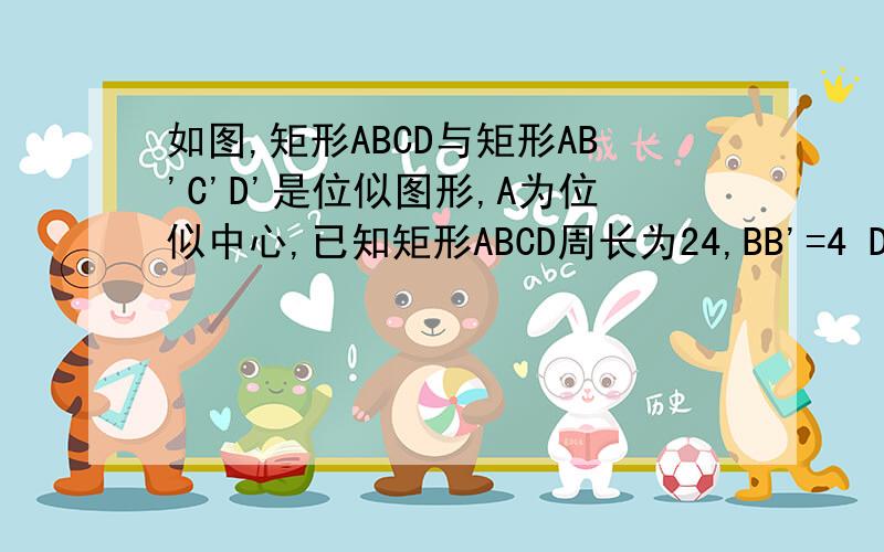 如图,矩形ABCD与矩形AB'C'D'是位似图形,A为位似中心,已知矩形ABCD周长为24,BB'=4 DD'=2,求A