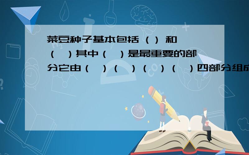 菜豆种子基本包括 ( ) 和（ ）其中（ ）是最重要的部分它由（ ）（ ）（ ）（ ）四部分组成