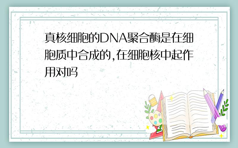 真核细胞的DNA聚合酶是在细胞质中合成的,在细胞核中起作用对吗