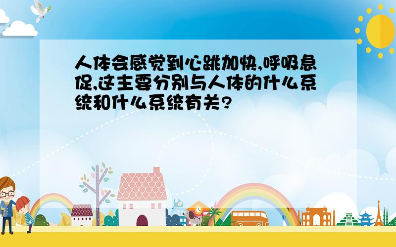 人体会感觉到心跳加快,呼吸急促,这主要分别与人体的什么系统和什么系统有关?