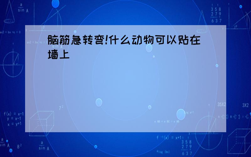 脑筋急转弯!什么动物可以贴在墙上