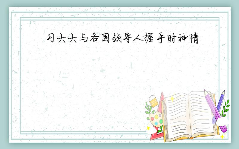 习大大与各国领导人握手时神情.