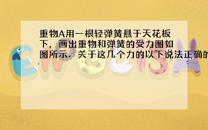 重物A用一根轻弹簧悬于天花板下，画出重物和弹簧的受力图如图所示．关于这几个力的以下说法正确的是（　　）