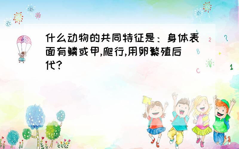 什么动物的共同特征是：身体表面有鳞或甲,爬行,用卵繁殖后代?