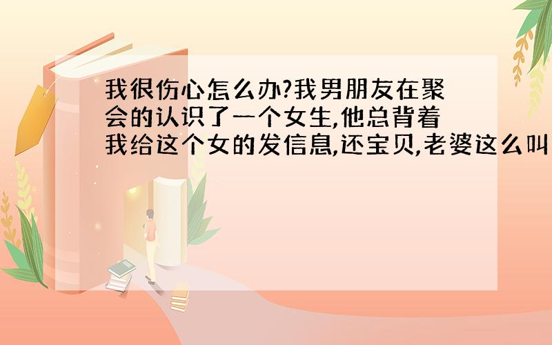 我很伤心怎么办?我男朋友在聚会的认识了一个女生,他总背着我给这个女的发信息,还宝贝,老婆这么叫的,我发现后叫他不要再发了