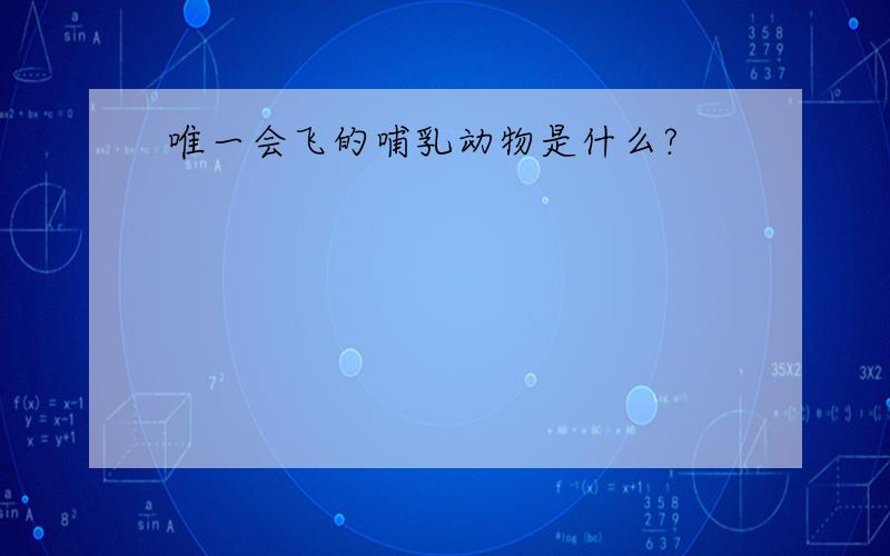 唯一会飞的哺乳动物是什么?