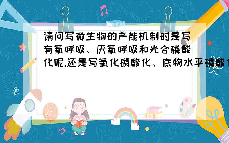 请问写微生物的产能机制时是写有氧呼吸、厌氧呼吸和光合磷酸化呢,还是写氧化磷酸化、底物水平磷酸化和...