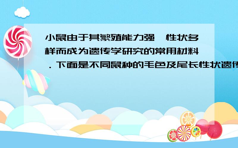 小鼠由于其繁殖能力强、性状多样而成为遗传学研究的常用材料．下面是不同鼠种的毛色及尾长性状遗传研究的几种情况，在实验中发现