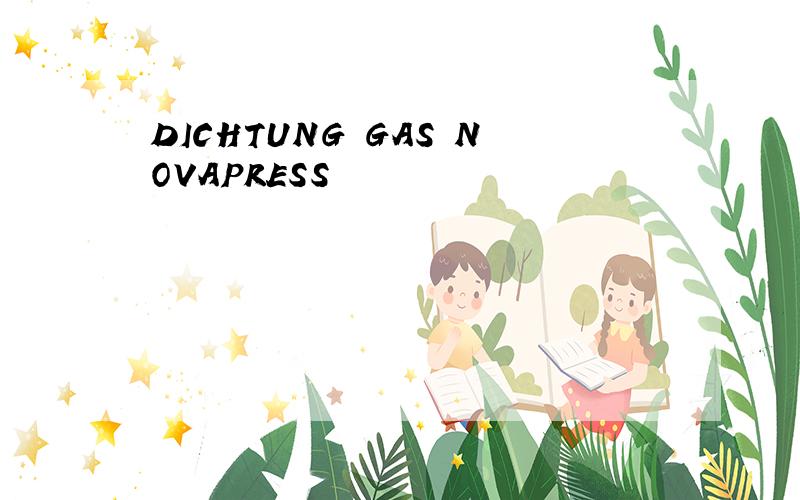 DICHTUNG GAS NOVAPRESS