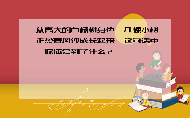 从高大的白杨树身边,几棵小树正盈着风沙成长起来,这句话中,你体会到了什么?