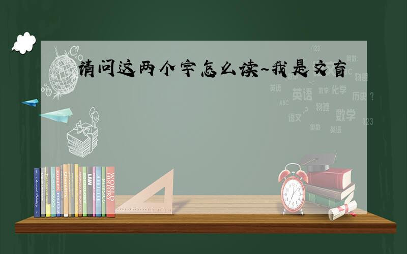 请问这两个字怎么读~我是文盲