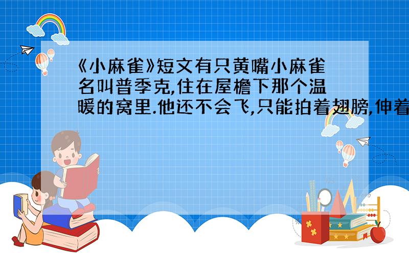 《小麻雀》短文有只黄嘴小麻雀名叫普季克,住在屋檐下那个温暖的窝里.他还不会飞,只能拍着翅膀,伸着脖子,往窝外东张西望,想